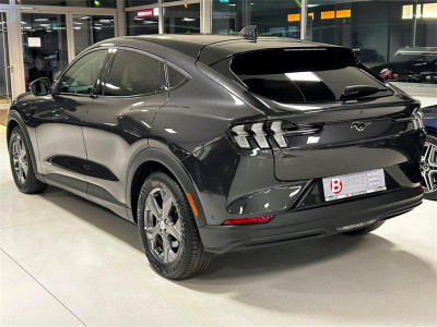 Ford Mustang Mach-E Gebrauchtwagen