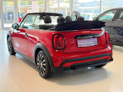 MINI Cabrio Gebrauchtwagen