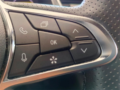 Mitsubishi Grandis Gebrauchtwagen