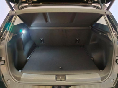 MG MGS5 EV Neuwagen MG MGS5 EV Neuwagen