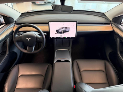 Tesla Model Y Gebrauchtwagen Tesla Model Y Gebrauchtwagen