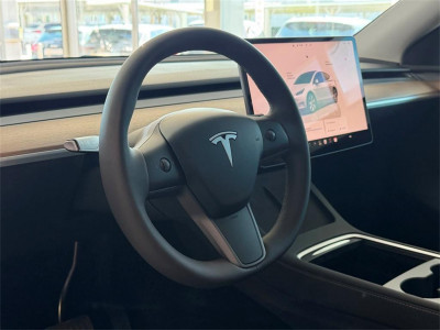 Tesla Model Y Gebrauchtwagen Tesla Model Y Gebrauchtwagen