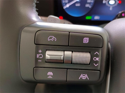 Hyundai Ioniq 9 Gebrauchtwagen Hyundai Ioniq 9 Gebrauchtwagen