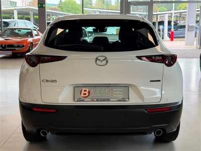 Mazda CX-30 Gebrauchtwagen Mazda CX-30 Gebrauchtwagen
