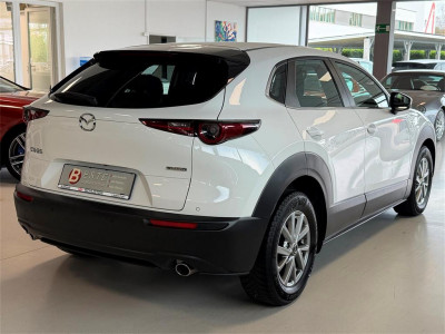 Mazda CX-30 Gebrauchtwagen Mazda CX-30 Gebrauchtwagen