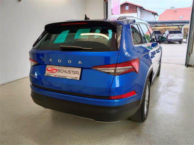 Skoda Kodiaq Gebrauchtwagen Skoda Kodiaq Gebrauchtwagen