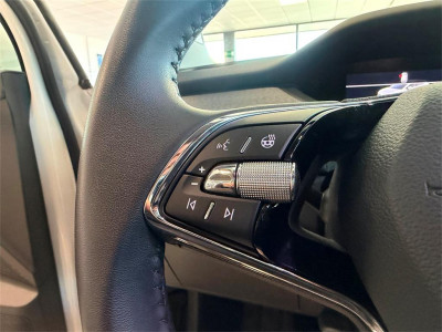 Skoda Enyaq Gebrauchtwagen