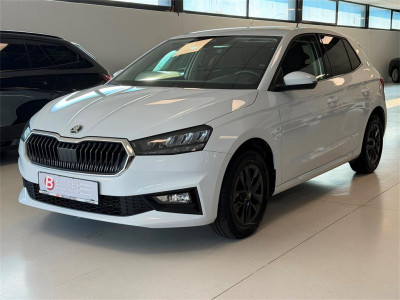 Skoda Fabia Gebrauchtwagen Skoda Fabia Gebrauchtwagen