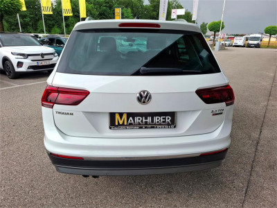 VW Tiguan Gebrauchtwagen