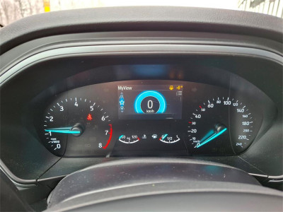 Ford Focus Gebrauchtwagen