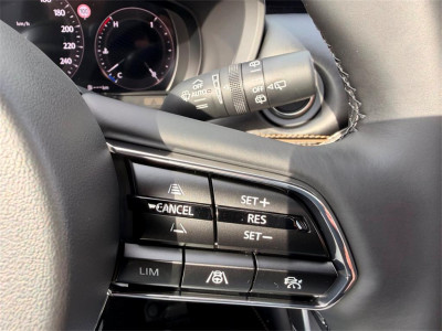 Mazda CX-60 Vorführwagen