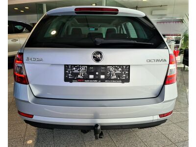 Skoda Octavia Gebrauchtwagen