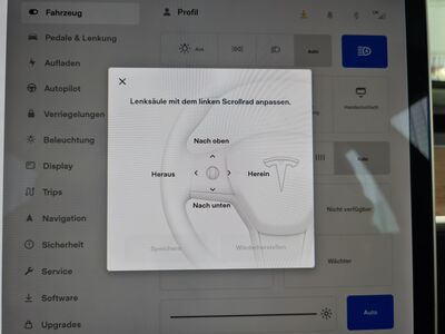 Tesla Model 3 Gebrauchtwagen Tesla Model 3 Gebrauchtwagen