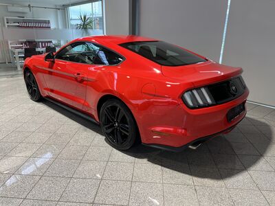 Ford Mustang Gebrauchtwagen