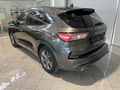 Ford Kuga Gebrauchtwagen Ford Kuga Gebrauchtwagen