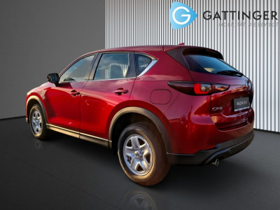 Mazda CX-5 Tageszulassung