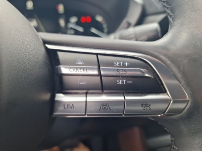 Mazda MX-30 Gebrauchtwagen