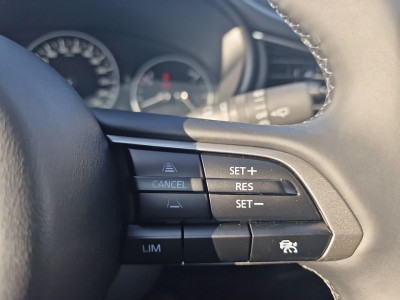 Mazda CX-30 Tageszulassung