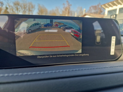 Mazda CX-30 Tageszulassung