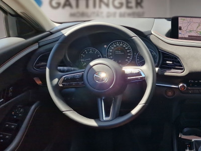 Mazda CX-30 Tageszulassung