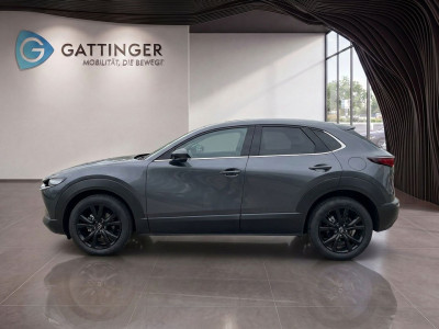 Mazda CX-30 Tageszulassung