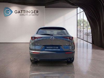 Mazda CX-30 Tageszulassung