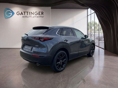Mazda CX-30 Tageszulassung