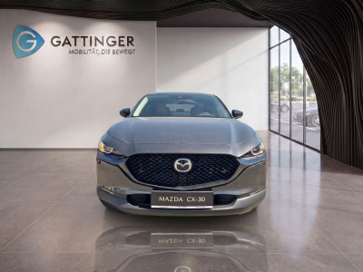 Mazda CX-30 Tageszulassung