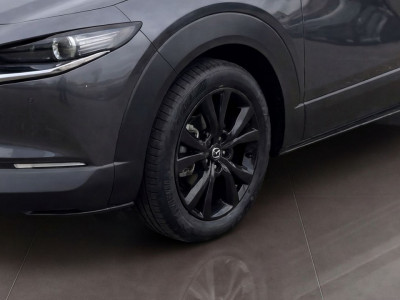 Mazda CX-30 Tageszulassung