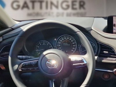 Mazda CX-30 Tageszulassung