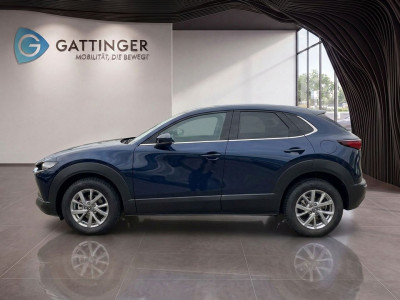 Mazda CX-30 Gebrauchtwagen Mazda CX-30 Gebrauchtwagen