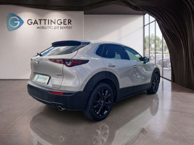Mazda CX-30 Gebrauchtwagen Mazda CX-30 Gebrauchtwagen
