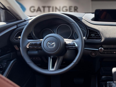 Mazda CX-30 Tageszulassung
