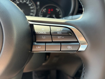 Mazda CX-30 Tageszulassung