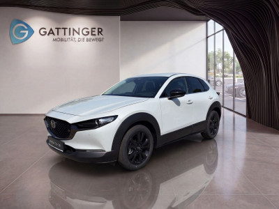 Mazda CX-30 Tageszulassung