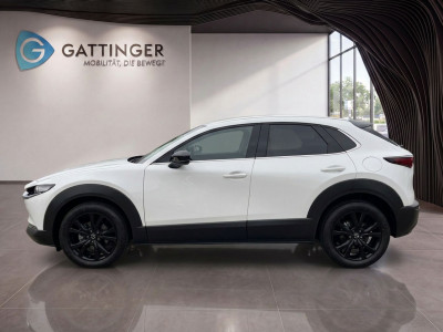 Mazda CX-30 Tageszulassung