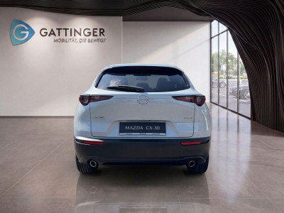 Mazda CX-30 Tageszulassung