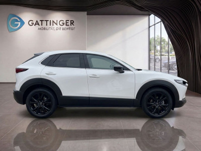 Mazda CX-30 Tageszulassung