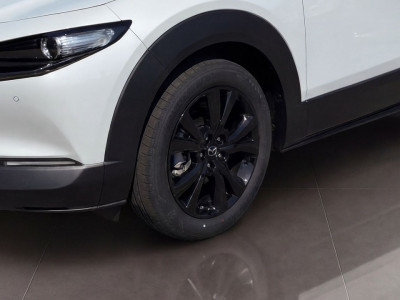 Mazda CX-30 Tageszulassung
