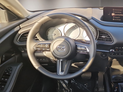Mazda CX-30 Tageszulassung