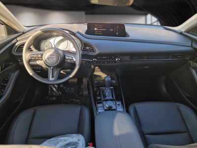Mazda CX-30 Tageszulassung