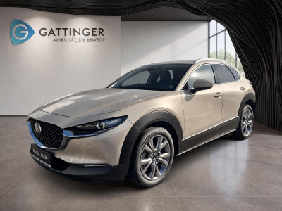 Mazda CX-30 Tageszulassung
