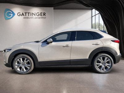 Mazda CX-30 Tageszulassung