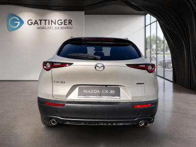 Mazda CX-30 Tageszulassung