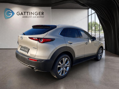Mazda CX-30 Tageszulassung