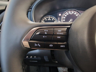 Mazda CX-30 Tageszulassung