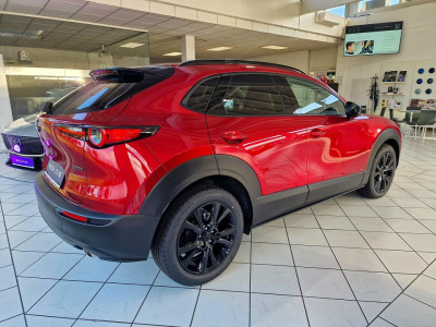Mazda CX-30 Tageszulassung