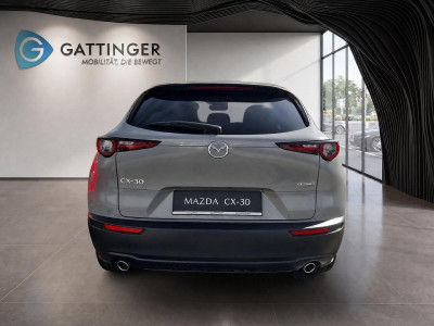 Mazda CX-30 Tageszulassung Mazda CX-30 Tageszulassung