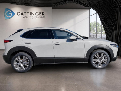 Mazda CX-30 Tageszulassung Mazda CX-30 Tageszulassung