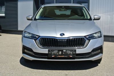 Skoda Octavia Gebrauchtwagen